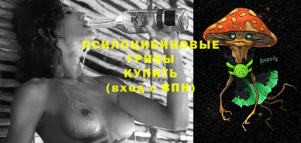 дмт Богородск
