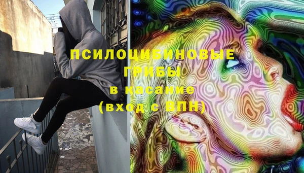 бошки Богородицк