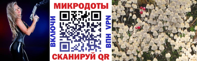 купить наркоту  сайты даркнета клад  Галлюциногенные грибы GOLDEN TEACHER  Джанкой 
